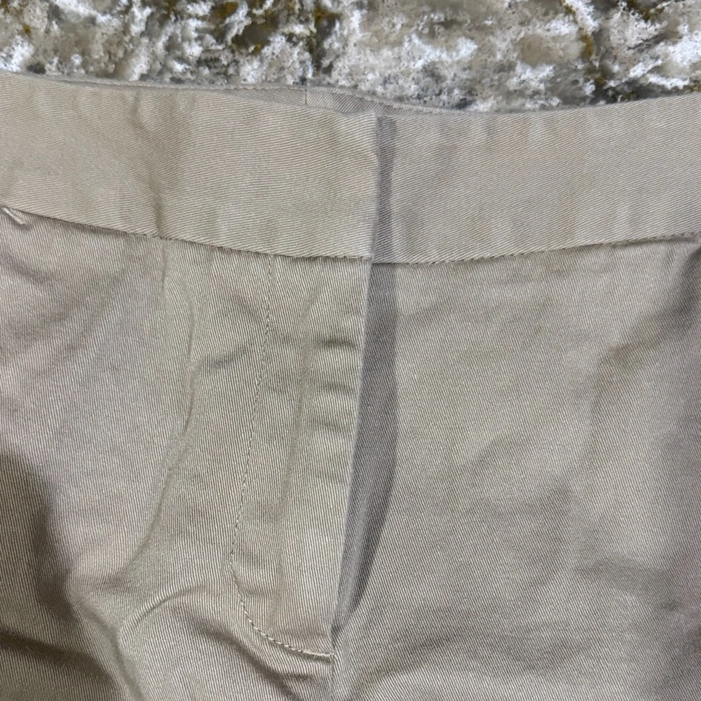 Ann Taylor Tan Women's Bermuda Shorts / H111
